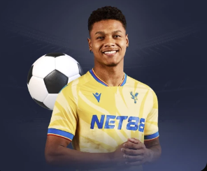 官方:阿森纳后卫廷伯因伤缺席本月国家队比赛 荷兰征召海特勒伊达